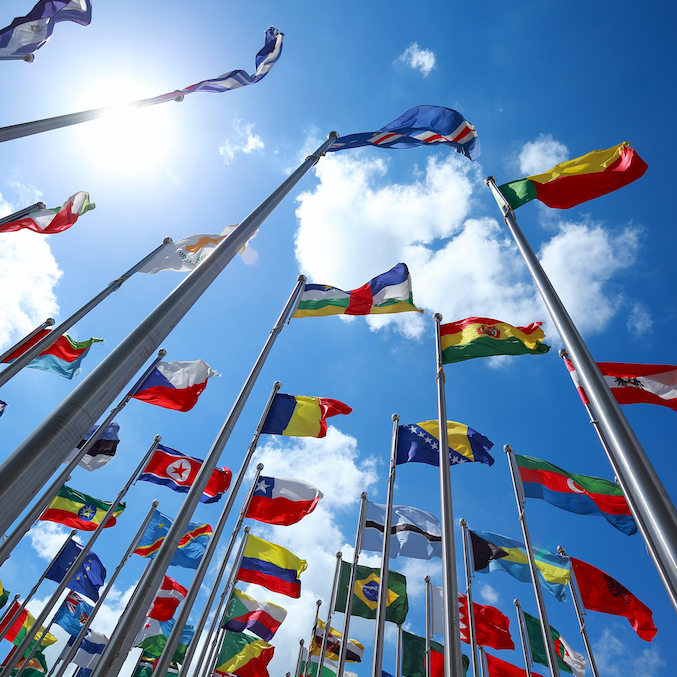 cross cultural leadership squared Intercultural Leadership (focus)