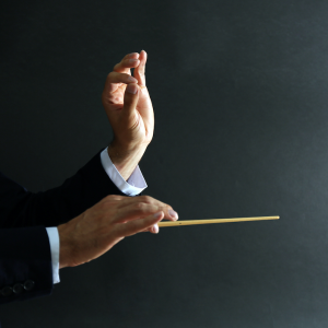 Assertive Leadership